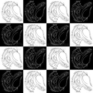 冰上轻驰 推荐产品