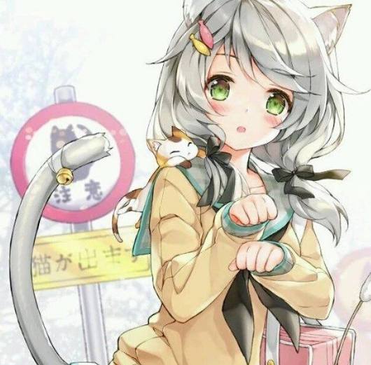 假如猫从世界上消失了 相关产品