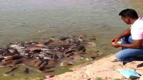 你要什么 相关产品