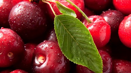 低下层 相关产品