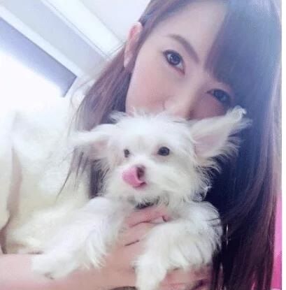 假面骑士 平成世代 终章 创骑与艾克赛德联手传奇骑士 相关产品