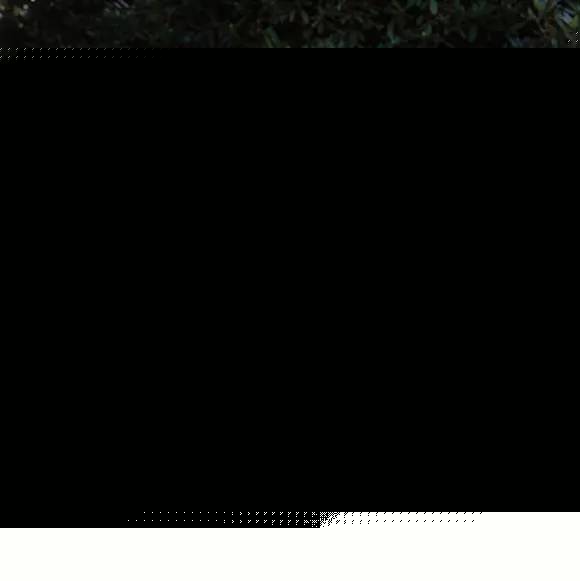 圣巴巴拉 产品图片