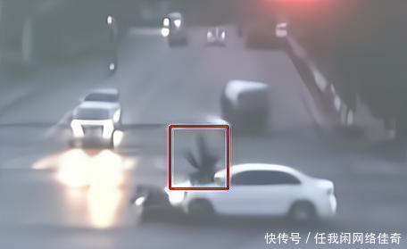 古墓迷途2 产品图片