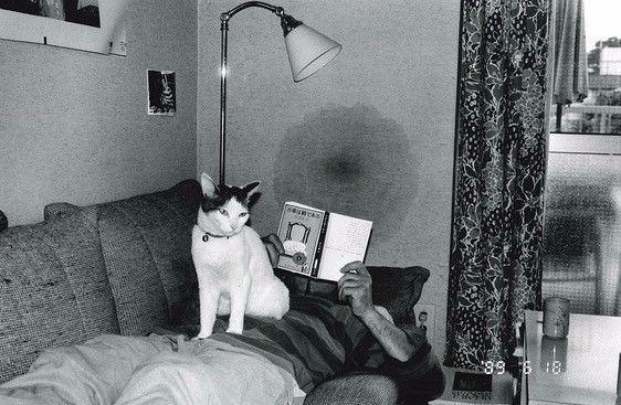 以骗制骗 产品图片