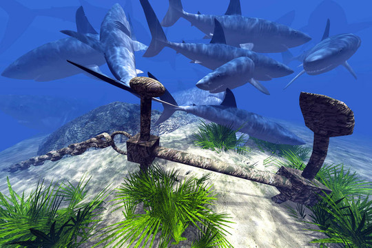 保安官 相关产品