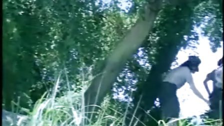 凯特的外遇日记 相关产品