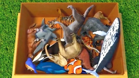 S-最后的警官：夺还