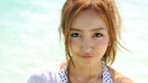 圣诞树 产品图片