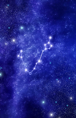 冷面虎 推荐产品