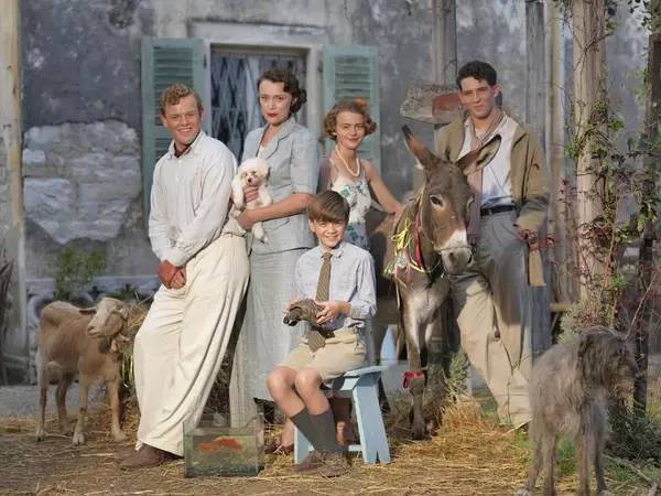 冷面虎 产品图片