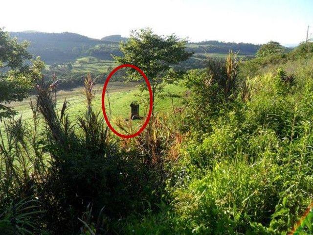 凯特的外遇日记 相关产品