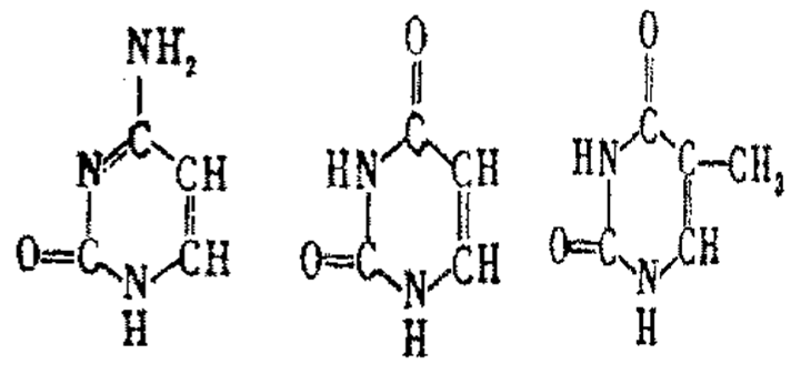 E先生之谜 产品主图