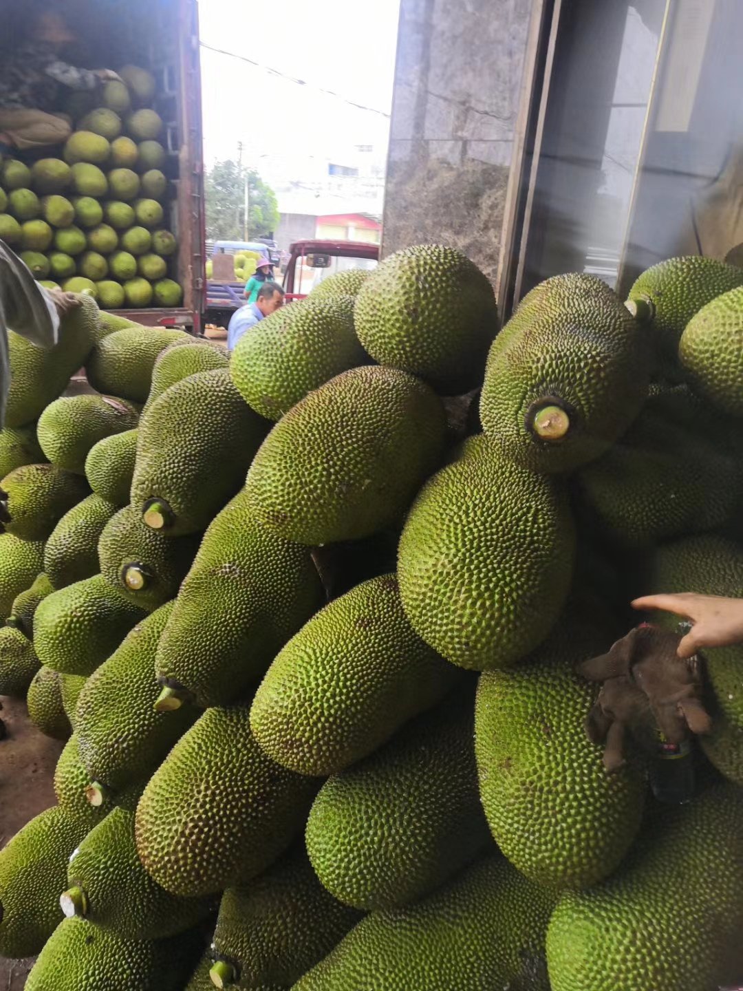 假面骑士 平成世代 终章 创骑与艾克赛德联手传奇骑士 相关产品