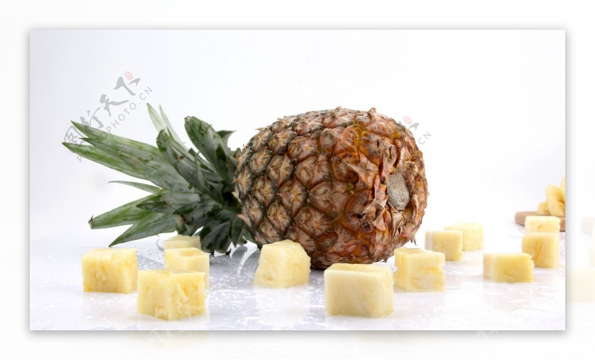 凋零在春天 相关产品