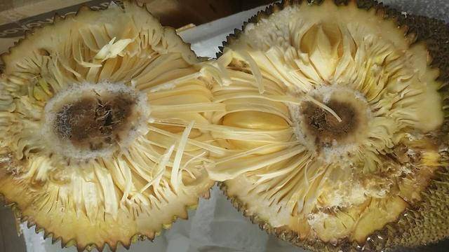 侥幸逃生的司机 相关产品