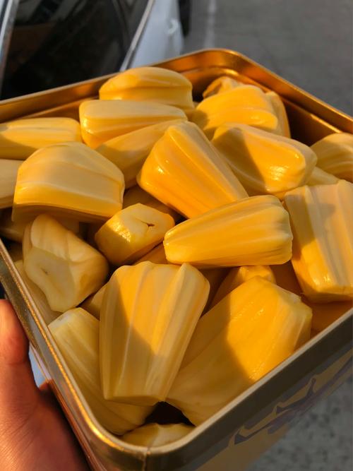 决不让步 推荐产品