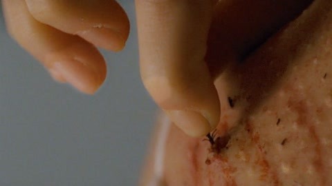 国家代表 推荐产品