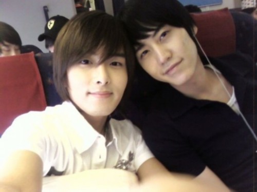 假如猫从世界上消失了 相关产品