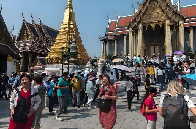 僵尸再翻生 相关产品