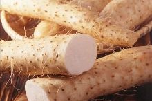 修女也疯狂 相关产品