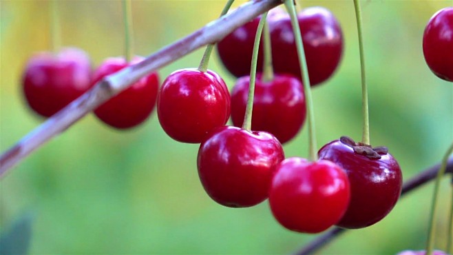 仙女下凡 相关产品