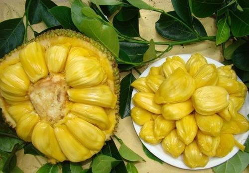 复活她 产品主图