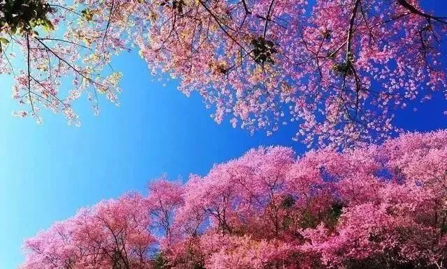 侏罗纪公园2：失落的世界（国语版） 相关产品