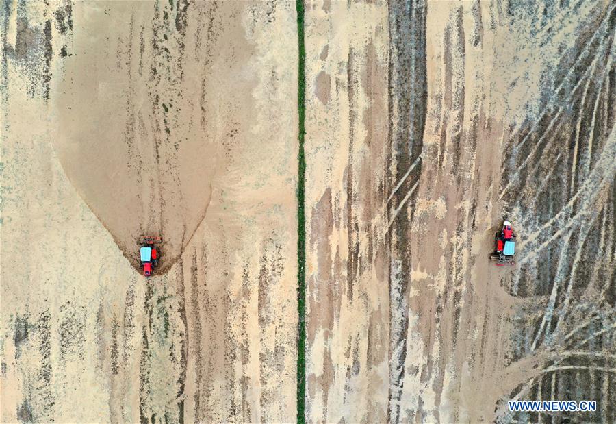 假面骑士 平成世代 终章 创骑与艾克赛德联手传奇骑士 相关产品