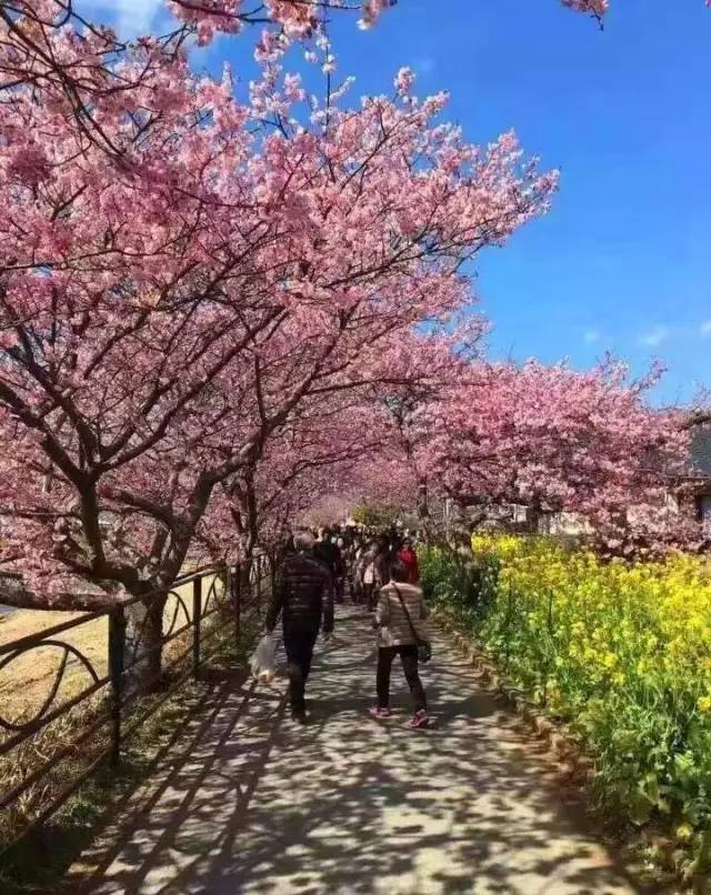 冰封侠：时空行者 粤语版 推荐产品