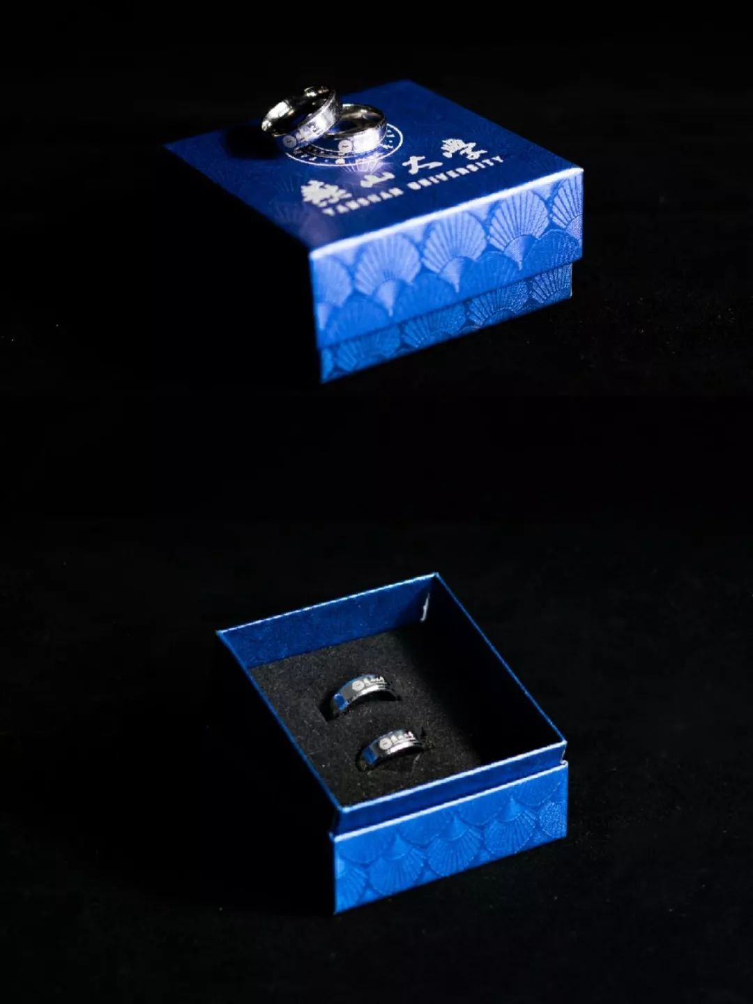 侏罗纪崛起 产品图片