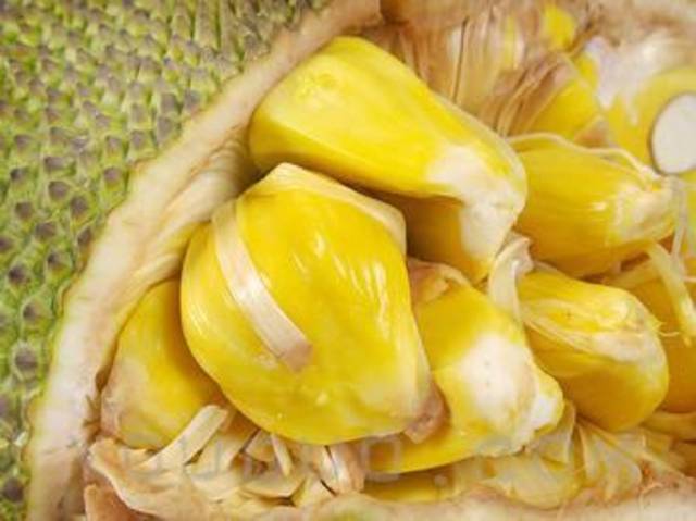 伏妖白鱼镇2 相关产品