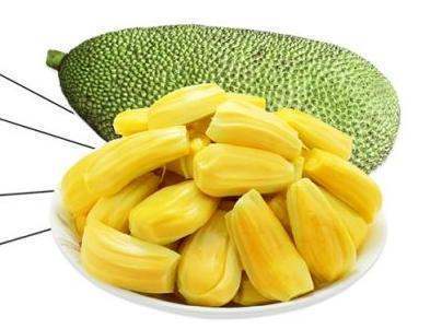 冰川鲨鱼 产品图片