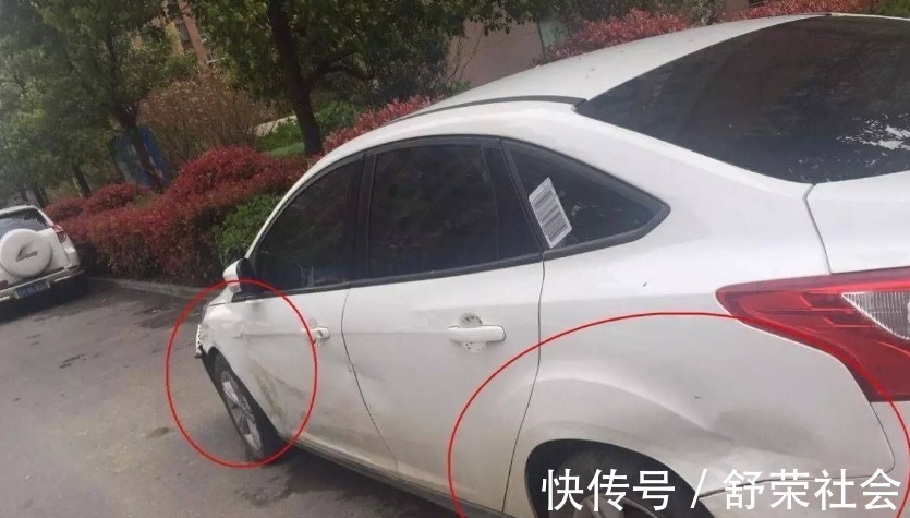 僵尸小姐 相关产品