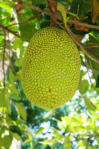 倒数救援战 相关产品