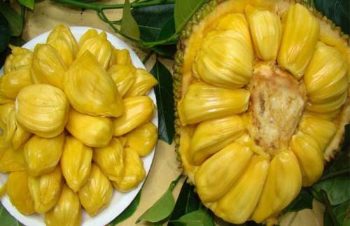 佐州自救兄弟 推荐产品