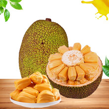 假面骑士 平成世代 终章 创骑与艾克赛德联手传奇骑士 推荐产品