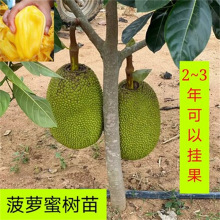 凯特的外遇日记 相关产品