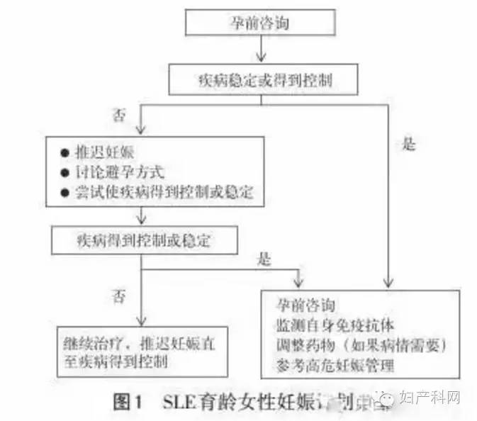 决战洛城 产品图片