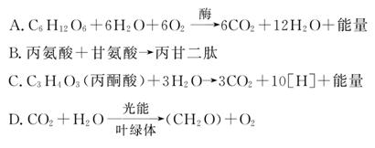 圣诞前夕（国语版） 产品图片