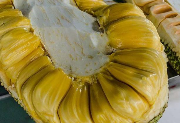 像小强一样活着