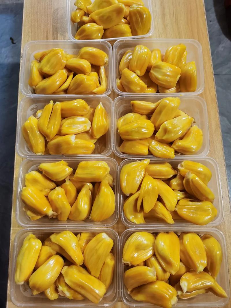 侏罗纪崛起 相关产品