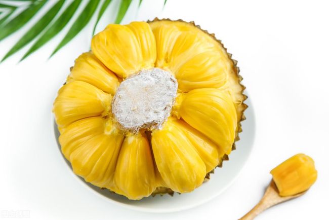 墨斗先生 推荐产品