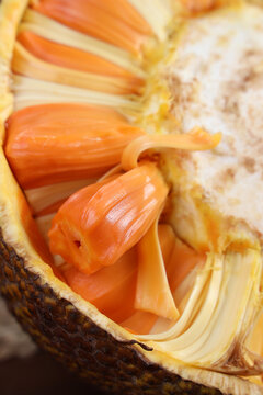 佩里亚复仇 相关产品