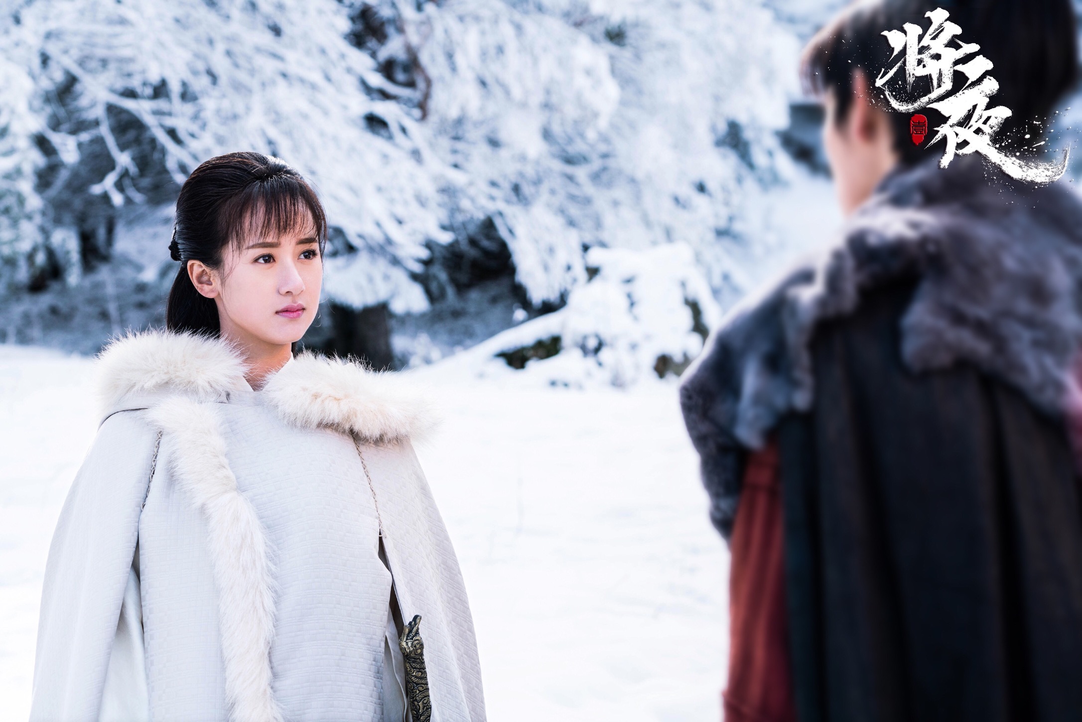 侦探芭比 产品图片