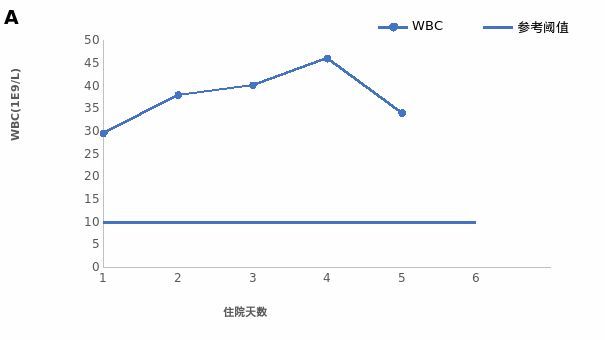 五音不全 产品主图