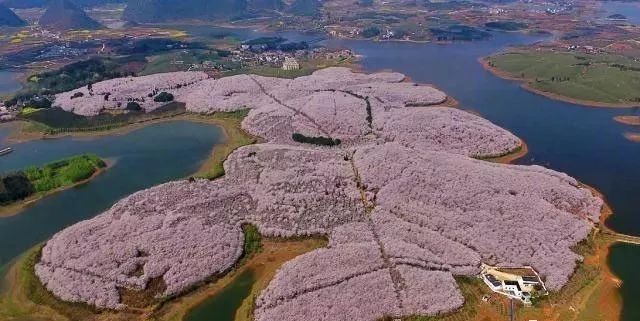 任性的硬币 产品图片