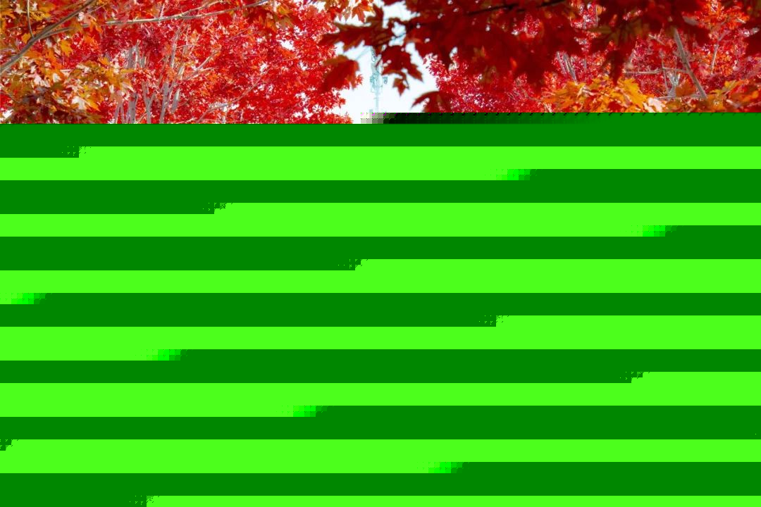 保持沉默 产品图片