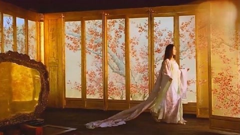 四十不惑 相关产品