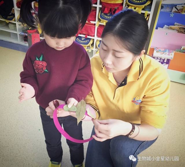 侦探芭比 产品图片