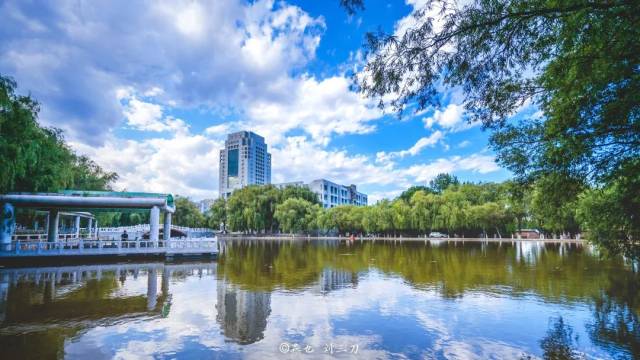 凋零在春天 视频封面